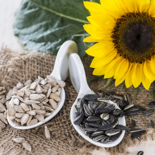 sunflower seeds