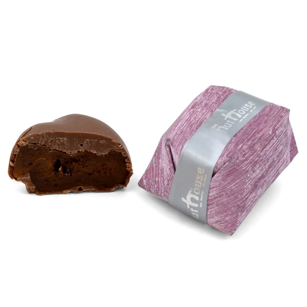 Chocolate Covered Apricot