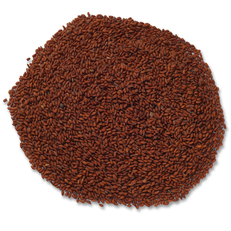 Cress seeds clearance